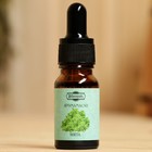 Эфирное масло «Мята», удобный дозатор, 10 мл, «Добропаровъ» - Фото 2