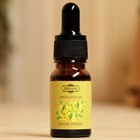 Эфирное масло «Иланг-Иланг», удобный дозатор, 10 мл, «Добропаровъ» - Фото 2