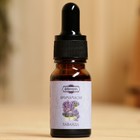 Эфирное масло «Лаванда», удобный дозатор, 10 мл, «Добропаровъ» - Фото 2