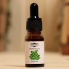 Эфирное масло «Пачули», удобный дозатор, 10 мл, «Добропаровъ» - Фото 2