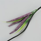 Декор тинги, 150 см, листва и берёзовые серьги, МИКС 3792270