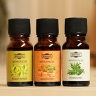 Эфирное масло по 10 мл Добропаровъ, микс ароматов: Иланг-Иланг, Розмарин, Мандарин - Фото 2