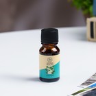 Набор эфирных масел «Лаванда, Жасмин, Ваниль», 10 мл, Богатство Аромата - Фото 2