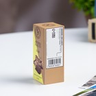 Набор эфирных масел «Апельсин, Кофе, Сандал», 10 мл, Богатство Аромата - Фото 4