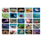 Настольная игра «Мемо. Подводный мир» - Фото 2