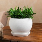 Горшок для цветов "Шар", шёлк, белый, керамика, 2 л - Фото 1