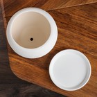 Горшок для цветов "Шар", шёлк, белый, керамика, 2 л - Фото 4