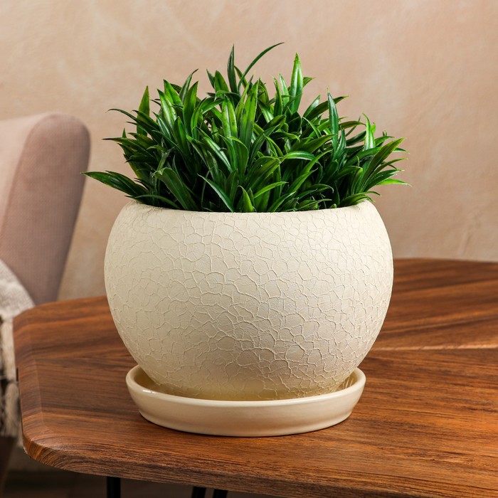 Горшок для цветов "Шар", шёлк, бежевый, керамика, 2 л - Фото 1