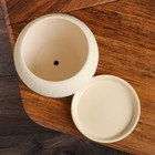 Горшок для цветов "Шар", шёлк, бежевый, керамика, 2 л - Фото 4