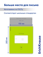 Тетрадь 18 листов в клетку ErichKrause Bright «Классика», обложка мелованный картон, зелёная - Фото 6