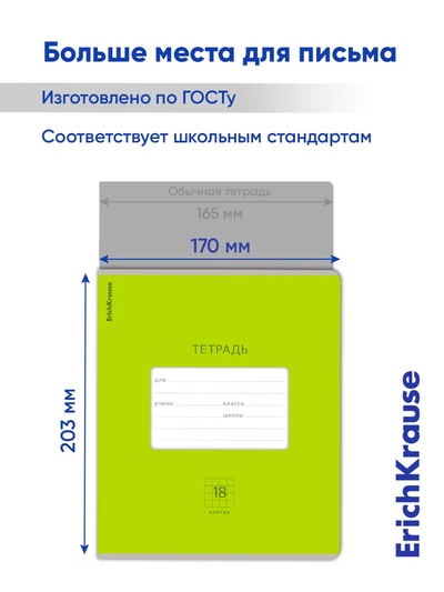 Тетрадь 18 листов в клетку ErichKrause Bright «Классика», обложка мелованный картон, зелёная
