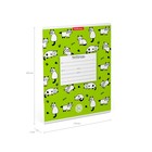 Тетрадь 12 листов в клетку ErichKrause Cats, обложка мелованный картон, блок офсет - фото 20881817