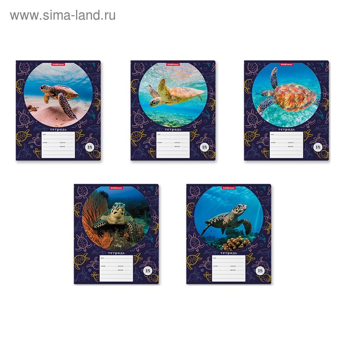 Тетрадь 18 листoв клетка Erich Krause "Морская черепаха", микс, обложка из мелованного картона плотностью 170 г/м2 - Фото 1