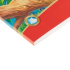 Альбом для рисования А4, 40 листов на клею ArtBerry "Экзотические птицы", обложка мелованный картон, жёсткая подложка, блок 120 г/м2 - Фото 3