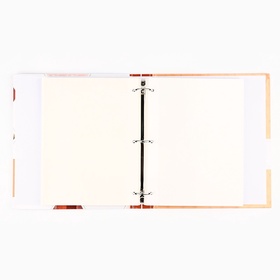 Фотоальбом магнитный на 200 фото, 50 листов «Альбом нашей семьи», 29×24 см