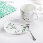 Набор керамический чайный с ложкой «Ботаника», 2 предмета: чашка 200 мл, блюдце, цвет МИКС - Фото 10