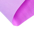 Бумага гофрированная 0,25 х 1,25 м, светло сиреневый-сиреневый - Фото 4