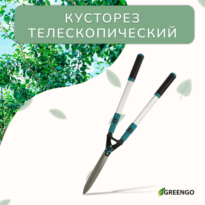 Кусторез, 3144,5" (79113 см), телескопический, с металлическими ручками , Greengo