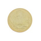 Подарочное панно с монетой "И.А. Крылов" - Фото 8