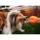 Игрушка на канате "Баскетбольный мяч" для собак, 9 см, микс цветов - Фото 3