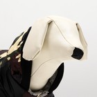 Комбинезон для собак на меховом подкладе с капюшоном, размер M (ДС 26, ОШ 32, ОГ 44 см - Фото 4