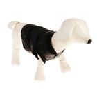 Комбинезон для собак на меховом подкладе с отстегивающимися штанами, размер S - Фото 6