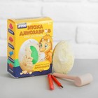 Набор археолога «Эпоха динозавров» №4 - Фото 1