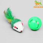 Набор игрушек для кошек: мышь 5 см и шарик с бубенчиком 3,8 см, микс цветов - фото 24649146
