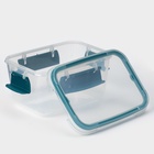 Контейнер пищевой герметичный Butterfly, 750 мл, пластик, прозрачный, крышка МИКС - Фото 3