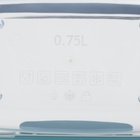 Контейнер пищевой герметичный Butterfly, 750 мл, пластик, прозрачный, крышка МИКС - Фото 6