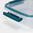 Контейнер пищевой герметичный Butterfly, 800 мл, пластик, прозрачный, крышка МИКС - Фото 2