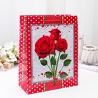 Пакет ламинированный 26 х 32 х 11 см - Фото 1