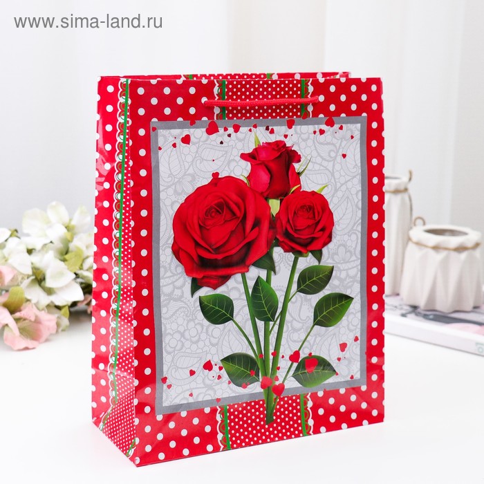 Пакет ламинированный 26 х 32 х 11 см - Фото 1