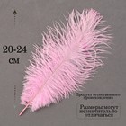 Перо для декора 1 шт., размер 20-24 см, цвет розовый - Фото 2