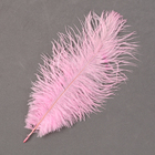 Перо для декора 1 шт., размер 20-24 см, цвет розовый - Фото 3