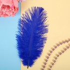 Перо для декора, размер:20-24 см, цвет синий - фото 2545402