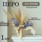 Перо для декора 1 шт., размер 24 см, цвет серый - Фото 1