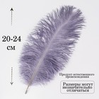 Перо для декора 1 шт., размер 24 см, цвет серый - Фото 2