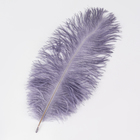 Перо для декора 1 шт., размер 24 см, цвет серый - Фото 3