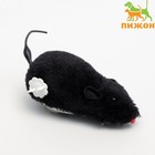 Мышь заводная меховая, 12 см, чёрная - фото 2098147