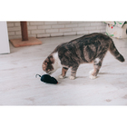 Мышь заводная, 12 см, искусственный мех, чёрная - Фото 6