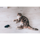 Мышь заводная, 12 см, искусственный мех, чёрная - Фото 7