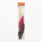 Дразнилка с пером павлина и бубенчиком, длинные перья, 32 см, микс цветов - Фото 5