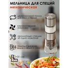 Мельница для специй Magistro «Этажерка», 19×6.5 см, серебристая - Фото 1