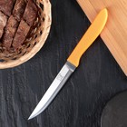 Нож кухонный «Мульти», лезвие 12,5 см, цвет МИКС - Фото 1