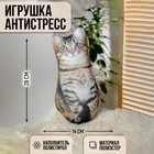 Игрушка-антистресс «Котик» - фото 110244888