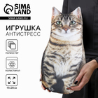 Игрушка-антистресс «Котик» - Фото 1