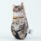 Игрушка-антистресс «Котик» - Фото 3