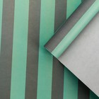 Бумага упаковочная для цветов «Полоски», 100 х 70 см, МИКС - Фото 4