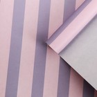 Бумага упаковочная для цветов «Полоски», 100 х 70 см, МИКС - Фото 5